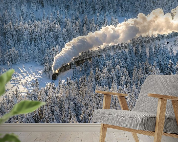 Beispiel fototapete: Die Harzer Schmalspurbahn im Winter von Patrice von Collani