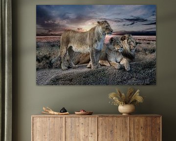 Löwen von Joachim G. Pinkawa