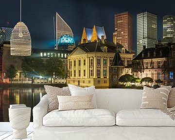 Skyline Den Haag met hofvijver van Karin Riethoven