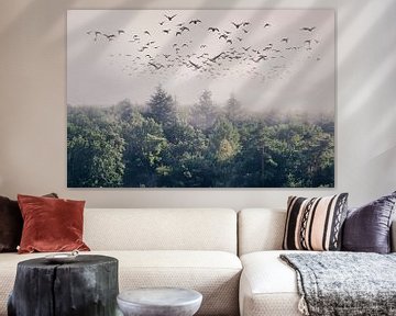 Betoverende Foto van Vliegende Eenden bij Exloo - Prachtig Natuurtafereel van Elianne van Turennout