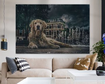 Straßenhund in Leeuwarden. von Elianne van Turennout