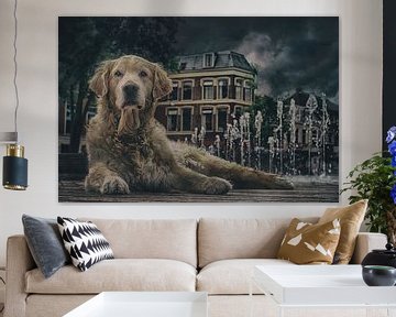 Street dog in Leeuwarden. by Elianne van Turennout