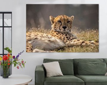 Gepard oder Cheetah von Gert Hilbink