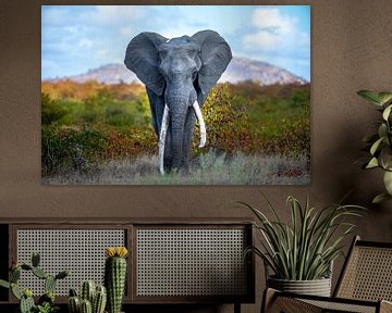 Auf der Spitze der Welt - großen Tusker - elefante von Sharing Wildlife