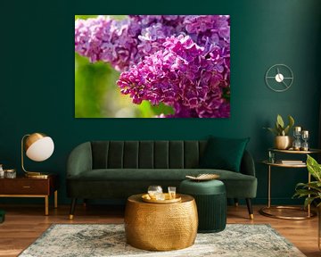 Betoverende zomerse bloemen by Lisa Foto