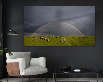 Meadow, cows and a rainbow by Fonger de Vlas