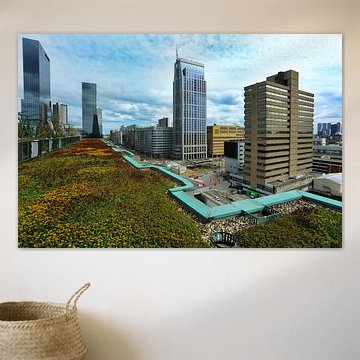 Groene daken in Rotterdam