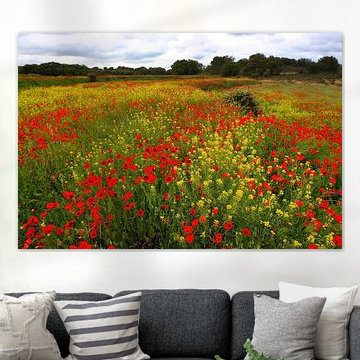 Een fleurige, braakliggende akker in Spanje