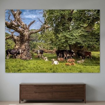 Une pause après le dîner