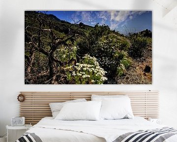 wondermooie wildgroei opTenerife met  blauwe lucht en bloemen