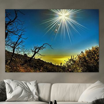 wondermooie wildgroei opTenerife met zonnestralen in blauwe lucht