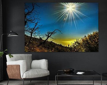 wondermooie wildgroei opTenerife met zonnestralen in blauwe lucht