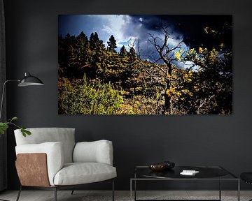 wondermooie wildgroei opTenerife met donkerre wolken