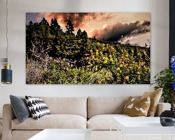 wondermooie wildgroei opTenerife met bewolkte lucht en bloemen