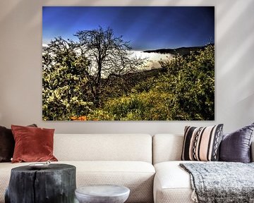 Natuur van Tenerife  met prachtige wildgroei  aan bloemen en boom met helder blauwe lucht van Willy Van de Wiele