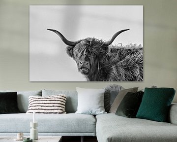 Vache écossaise robuste en noir et blanc sur iPics Photography
