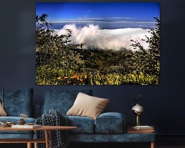 De natuur op Tenerife met widgroei en aan de horizon bewolking  en in zicht het  eiland Comera