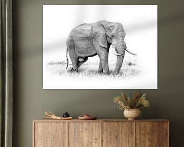 Olifant Fine Art Canvas Print In Zwart Wit