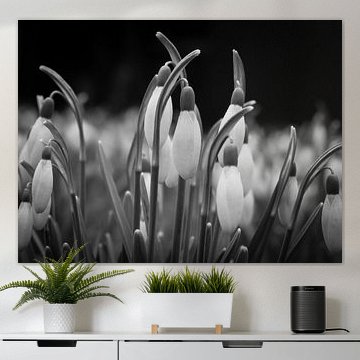 New beginnings and hope