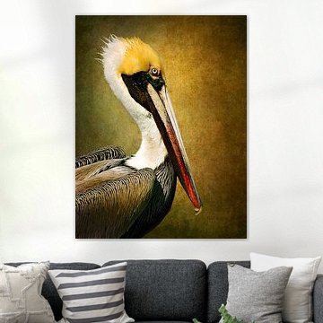 Portret Van Een Pelikaan (gezien bij vtwonen)