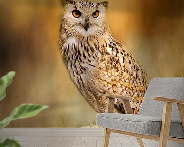 Perching Eurasian Eagle-owl (Bubo Bubo) by Diana van Tankeren