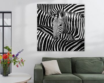 Modern Zebra Portret  In Zwart Wit van Diana van Tankeren