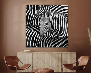 Modern Zebra Portret  In Zwart Wit