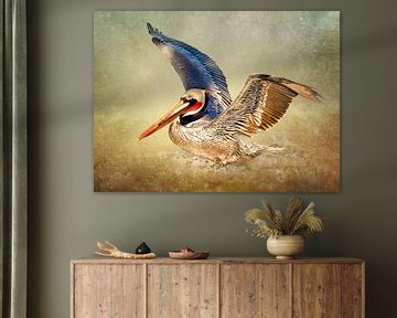 Pélican volant - Décoration murale d'oiseaux sur Diana van Tankeren