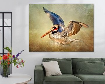 Fliegender Pelikan  von Diana van Tankeren