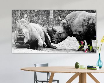 rhino by melissa demeunier
