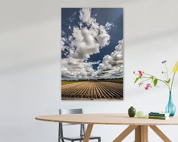 Wolkenlucht en landbouwlijnen nabij OudeBildtzijl in het noorden van Friesland sur Harrie Muis