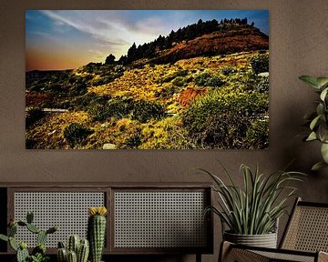 Natuur op TENERIFE, in de morgendstond voor dat de zon opkomt  ,met berg op de achtergrond