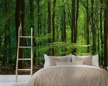 Summertime in Speulderforest by Michelle Coppiens