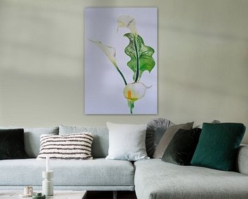 Calla