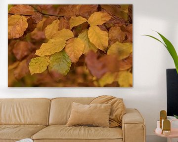 Herfstbladeren in goudgele tint van Marianne Twijnstra