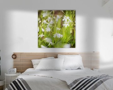 Witte bloemetjes in een groen veld van Barbara Koppe