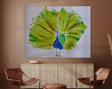 Peacock B