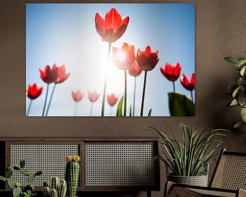 Tulpen in brandende zon van Original Cin Photography