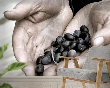 Olives, olives, Italy, atmosphere, food by Liesbeth Govers voor Santmedia.nl