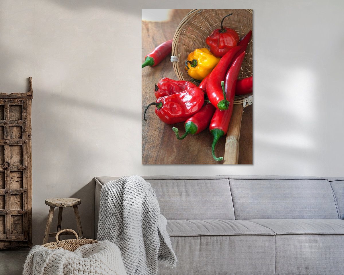 Aperçu de la chambre