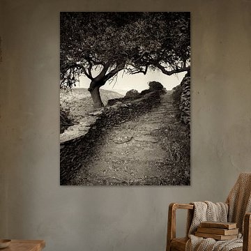 Kykladen, Griechenland - Wandern auf Amorgos