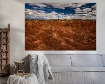 Tatacoa Desert by Ronne Vinkx