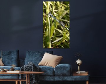 Herfst von Miranda Van Boxmeer