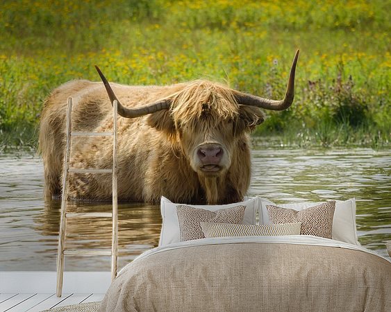 Voorbeeld van het werk in een kamer