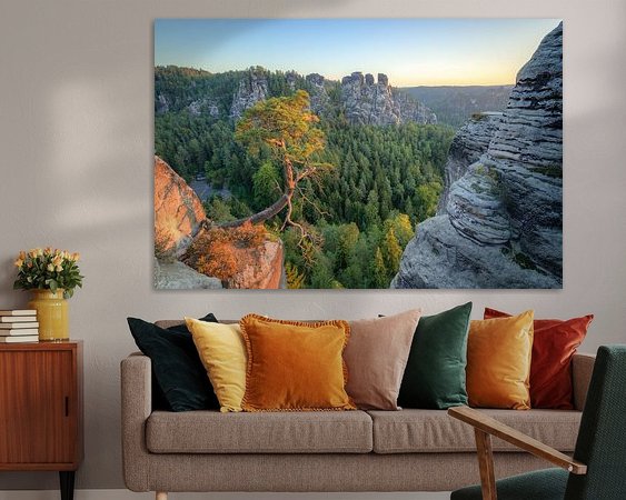 Aperçu de la chambre