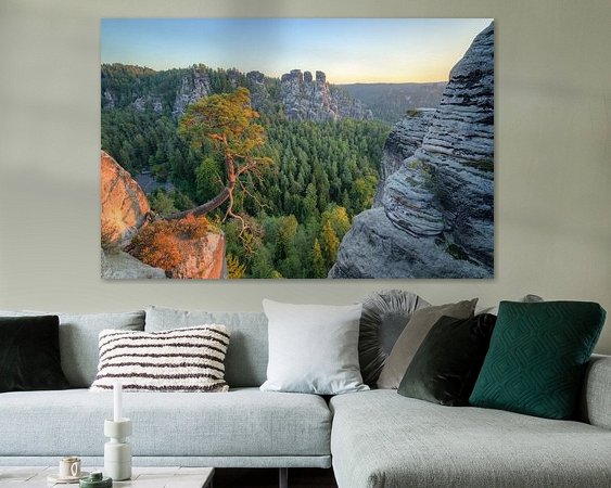 Aperçu de la chambre