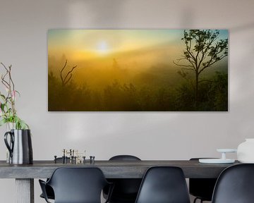 Nationaal Park de Alde Faenen in Friesland