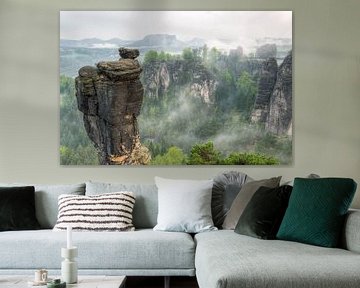 Blick über den Wehlgrund zur Bastei bei Nebel von Michael Valjak