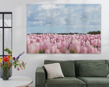 Roze tulpen van Robert van Grinsven