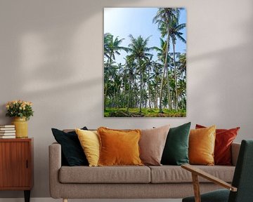 Palmbomenland van Petra Brouwer